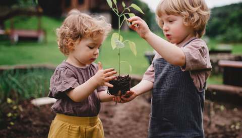 A girl and boy standing in the garden, holding a pepper seedling.