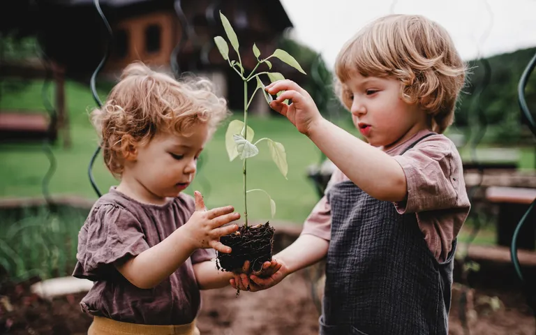 A girl and boy standing in the garden, holding a pepper seedling.