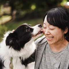 Woman and border collie relaxed outdoors
